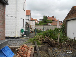 tuin